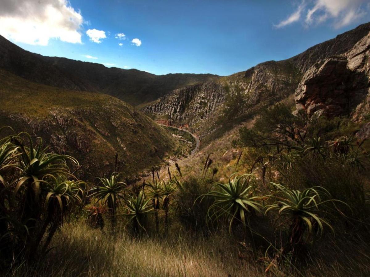 Karoo Art Hotel Барридейл Экстерьер фото