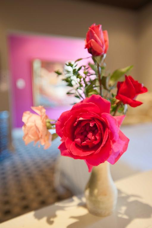 Karoo Art Hotel Барридейл Экстерьер фото